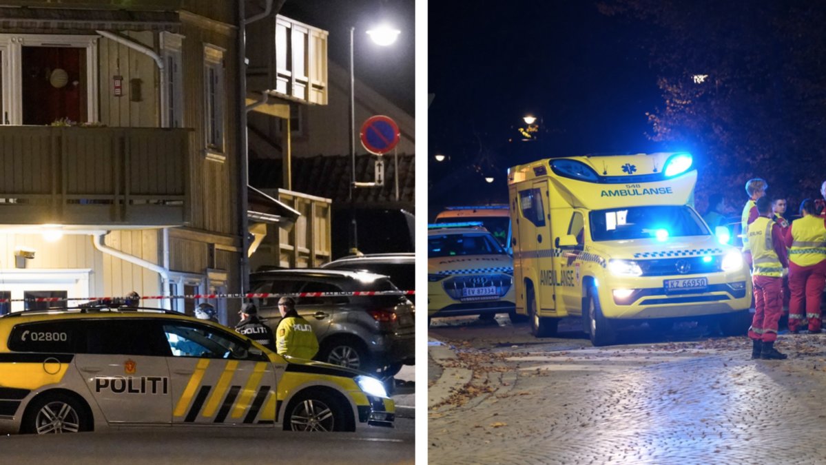 Fem personer har dött efter attacken i Kongsberg.